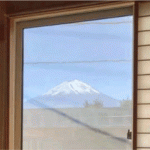 眺望を重視しますか？ Do you value the view?
